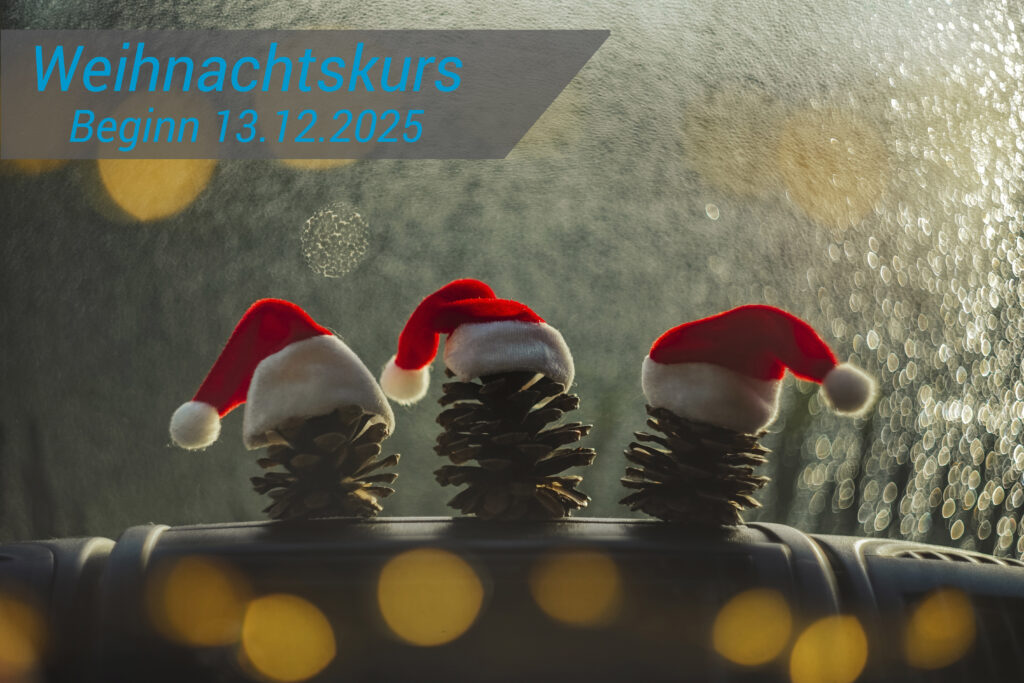 Rustic and organic Christmas  decoration on a car dashboard with nice blurry lights